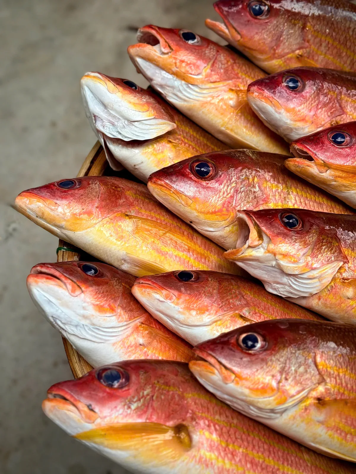 Gold and red sea fish in a basket from another daily catch