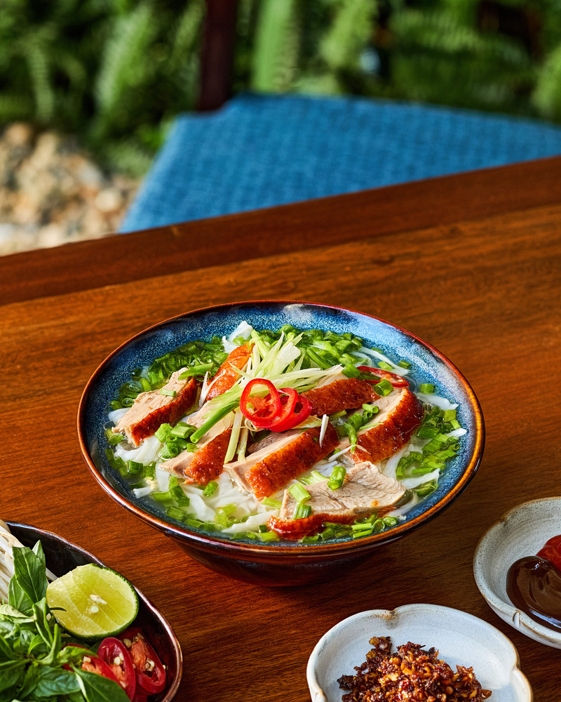 Món ăn ngon từ vịt