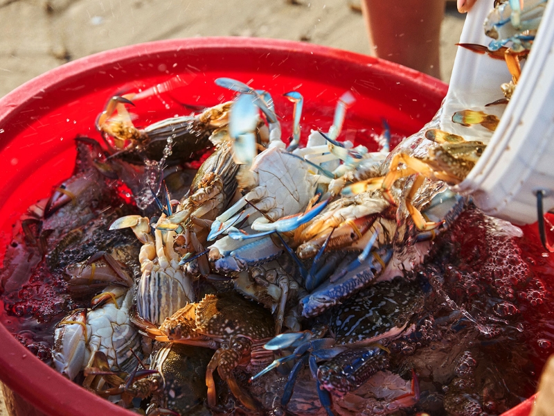 Nhà hàng ẩm thực MiRi Hôm