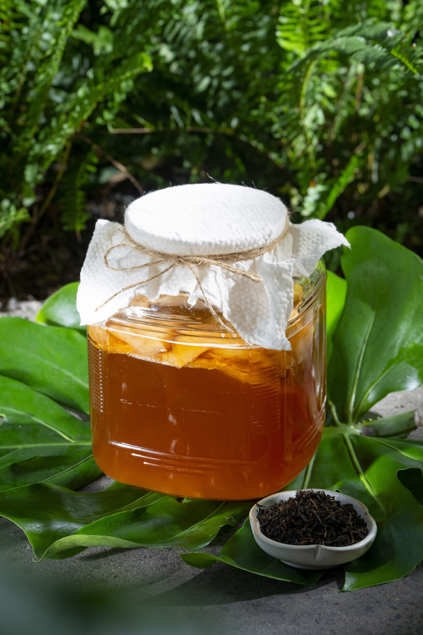 Kombucha scaled